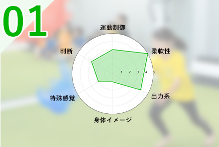 評価票グラフイメージ