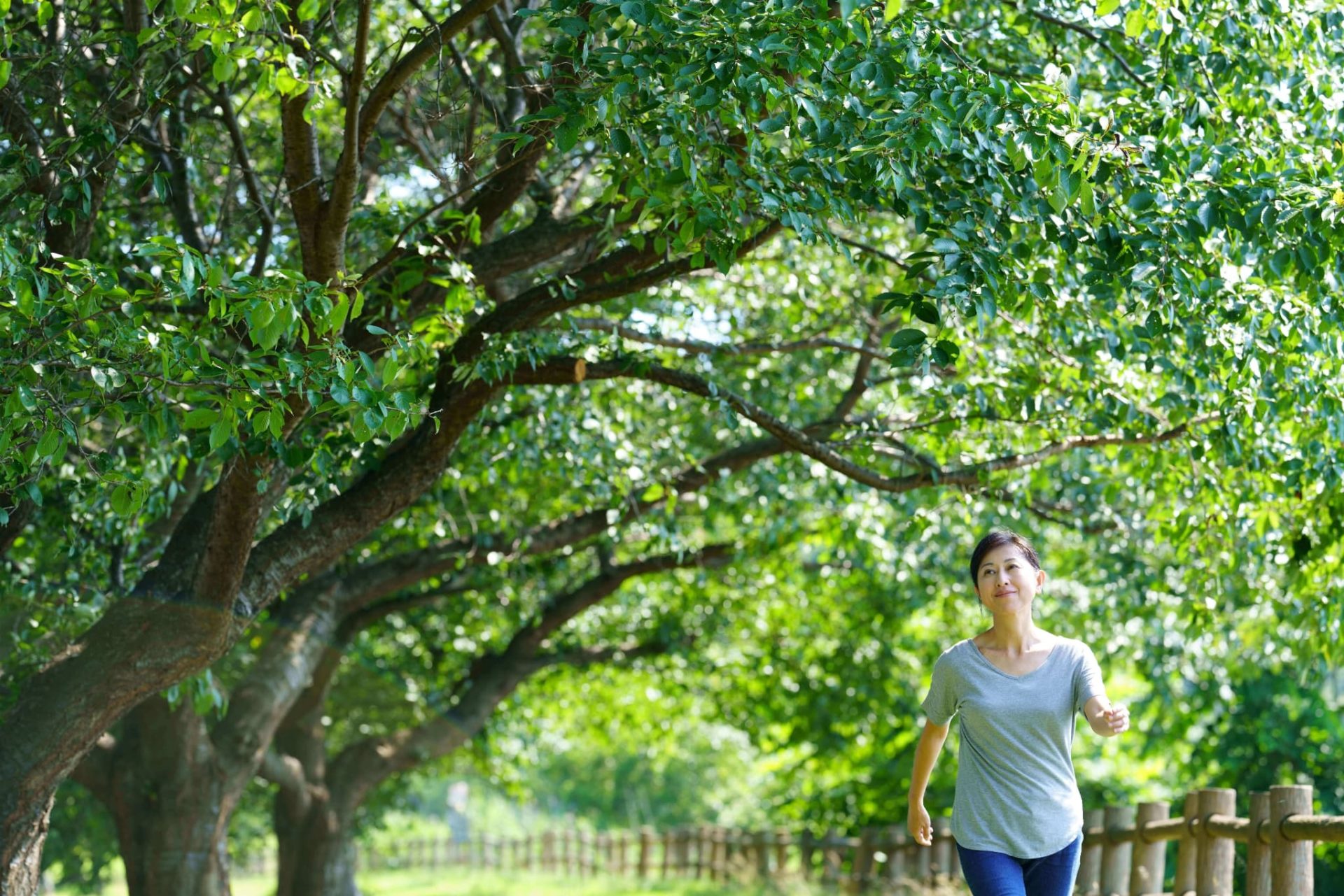 【吉祥寺】50代女性におすすめのジム10選｜初心者も安心の運動習慣と効果的なトレーニング